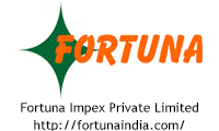 logo_fortuna